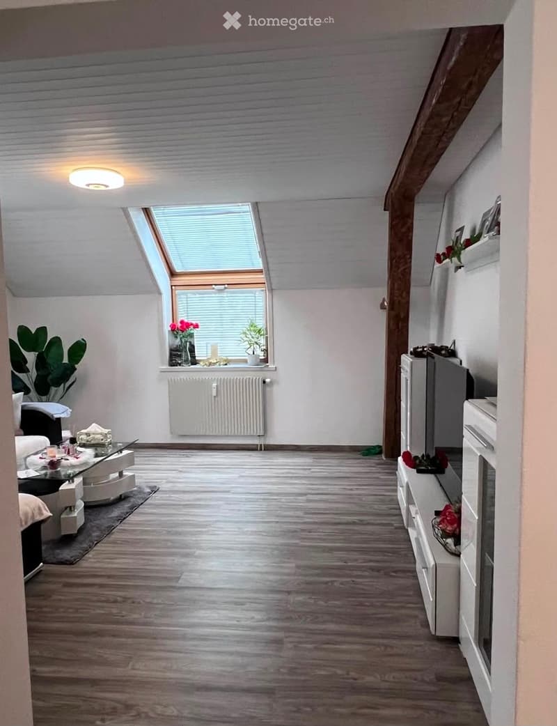 Modern living room with wooden flooring, white walls, skylight window, sofa, coffee table, TV stand, and decorative plants.