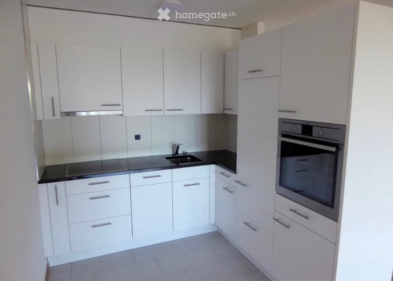 Modern kitchen with white cabinets, black countertops, and built-in appliances including an oven and sink.