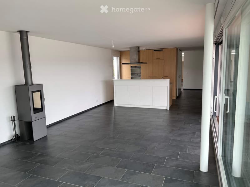 Modern hallway with dark tiled flooring, white walls, and a built-in kitchen area featuring wooden cabinets and stainless steel appliances. A wood-burning stove is positioned on the left side.