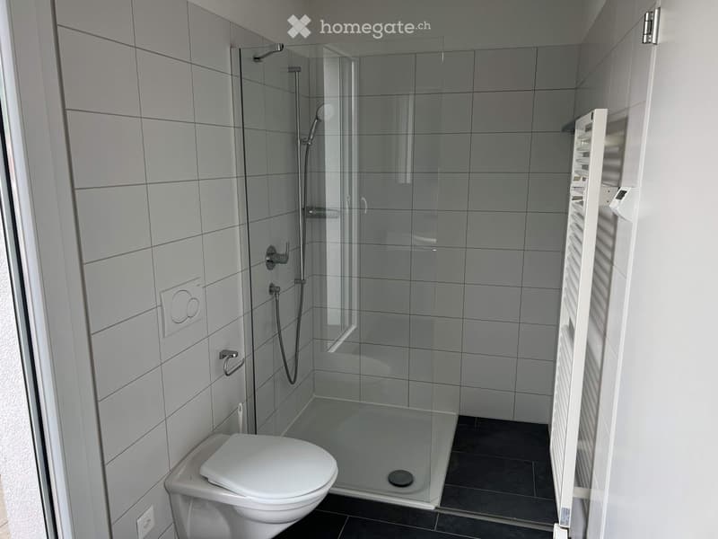 Modern bathroom with a white toilet, a glass-enclosed shower, and a white radiator. The walls are tiled in light grey, and the floor is dark grey.