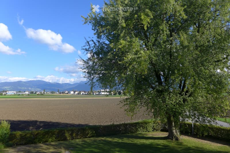 A peaceful rural landscape with a large tree in the foreground, a well-maintained lawn, and a cultivated field extending into the distance. In the background, a small village with houses and a distant mountain range under a clear blue sky.