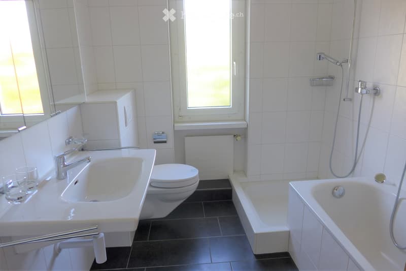 Modern bathroom with white tiles, a bathtub, a toilet, a sink with a faucet, and a mirror above the sink. Two windows provide natural light.