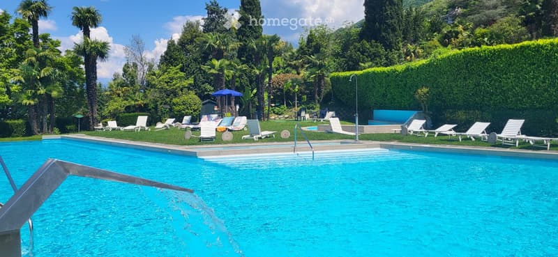 Outdoor area with a swimming pool surrounded by lounge chairs, umbrellas, and lush greenery.