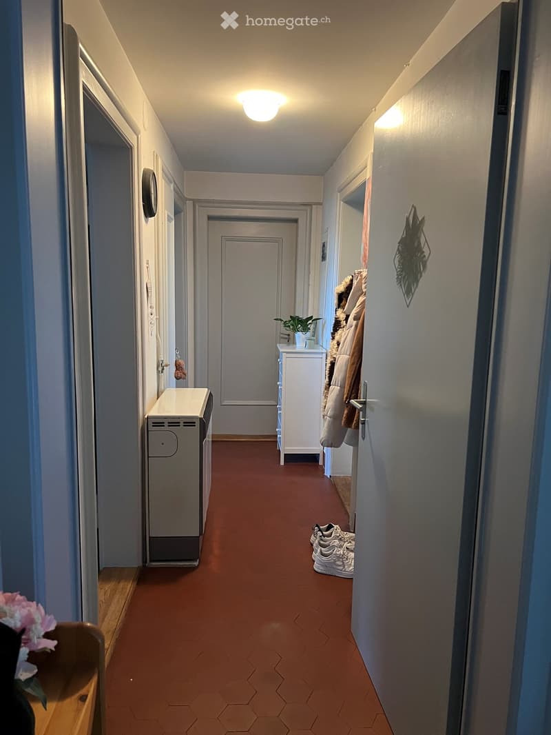 A narrow hallway with red hexagonal tiles, white walls, and several doors. There are coats hanging on the right, a small table with a plant, and a washing machine on the left.
