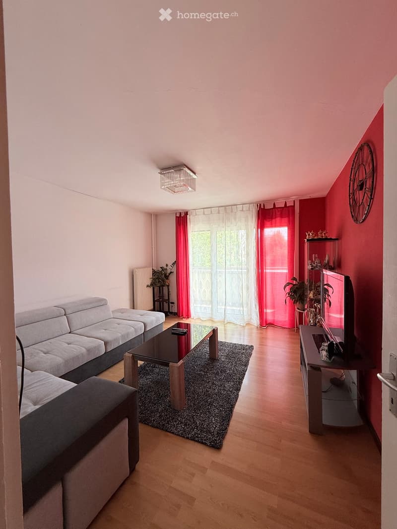 Modern living room with grey sectional sofa, black coffee table, TV stand, wall clock, and plants. Features wooden flooring, large windows with red and white curtains, and a sleek chandelier.