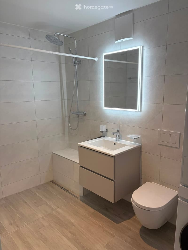 Modern bathroom with a wooden floor, a sink with a modern faucet, a toilet, a shower with a handheld sprayer, and a mirrored cabinet with built-in lighting.
