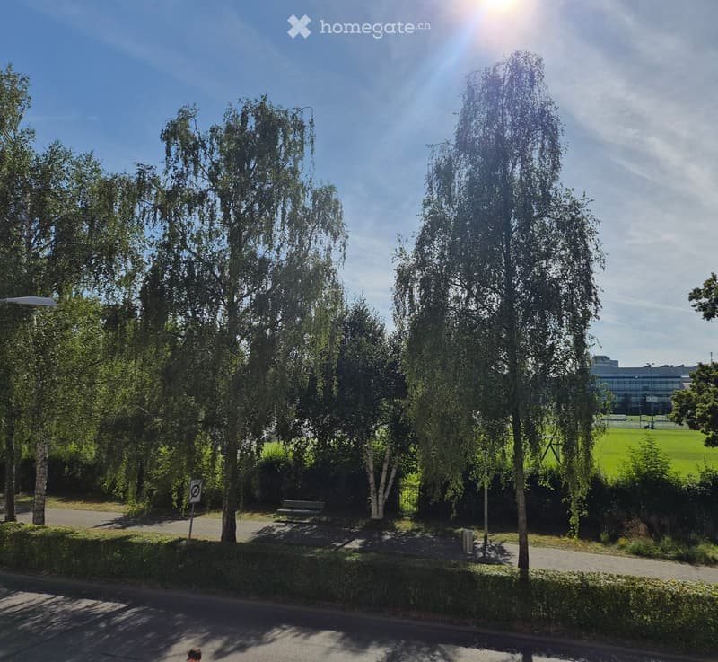 A park area with tall trees, a bench, a paved walkway, and a grassy field in the background.