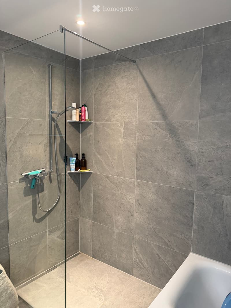 Modern bathroom with grey marble tiles, glass-enclosed shower, built-in shelves holding toiletries, and a bathtub visible in the corner.