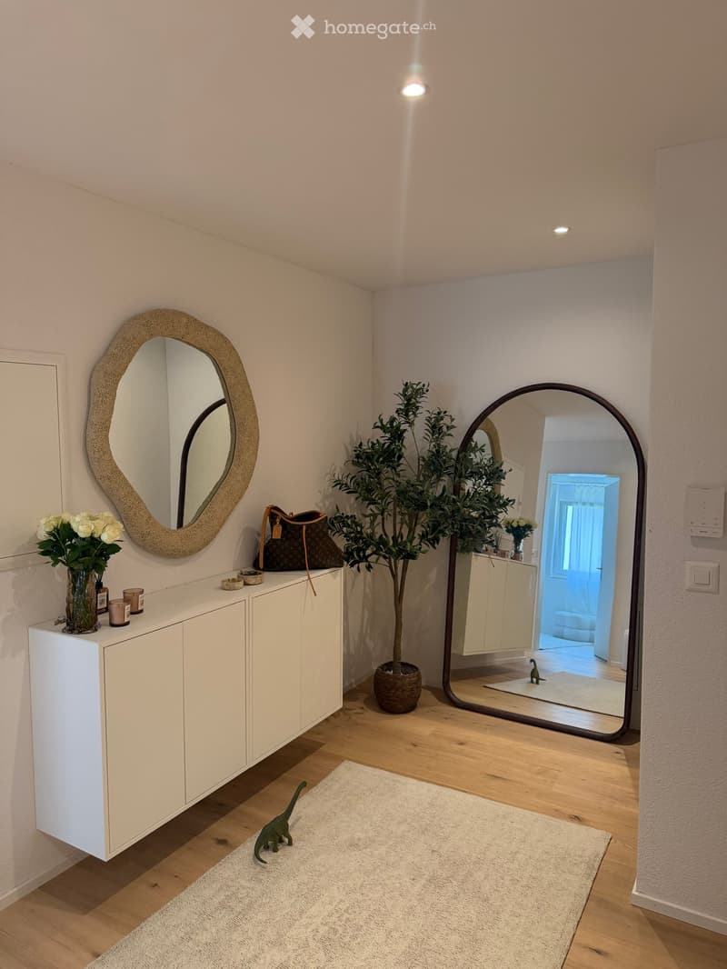 A well-lit hallway with a white cabinet, two large mirrors, a potted plant, and decorative items on the cabinet.