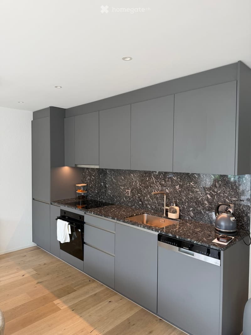 Modern kitchen with grey cabinets, granite countertop, stainless steel sink, oven, dishwasher, and teapot on the counter.