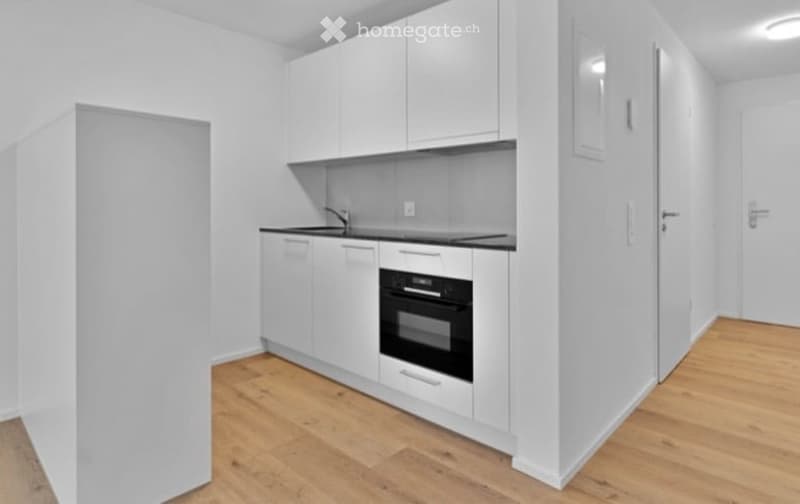 Modern kitchen with white cabinets, black countertop, and wooden flooring.