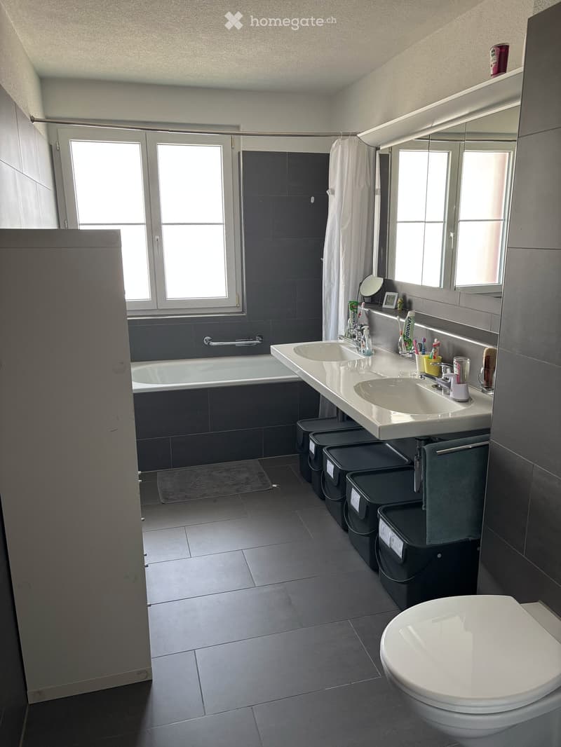 Grosszügige 3.5-Zimmer-Wohnung in Oberhasli (7)