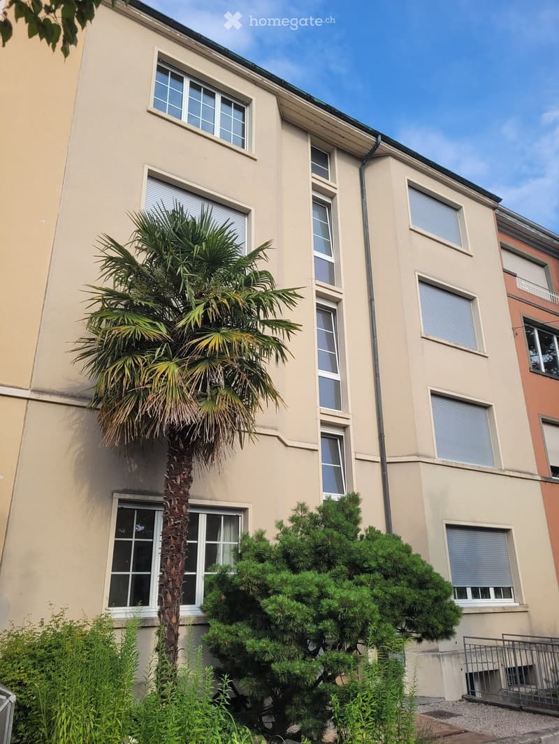 A multi-story residential building with beige walls, multiple windows, and a palm tree in front.