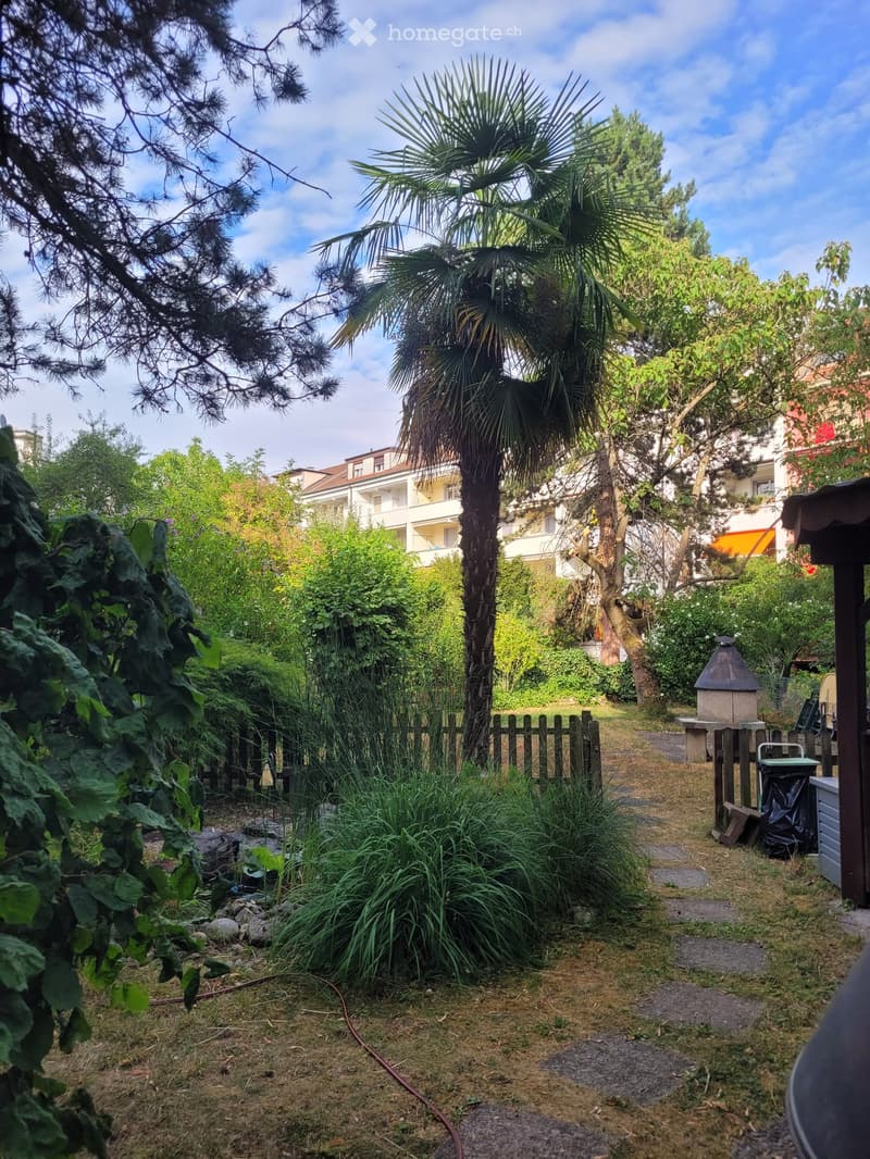 Garden with a palm tree, various plants, a wooden fence, and a small stone structure, surrounded by other buildings.