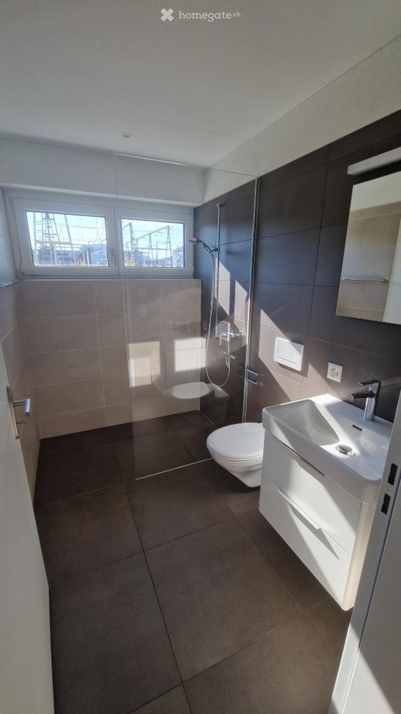 Modern bathroom with a glass-enclosed shower, toilet, sink, and mirror. The space features dark tiled walls and a tiled floor, with natural light coming through a window.