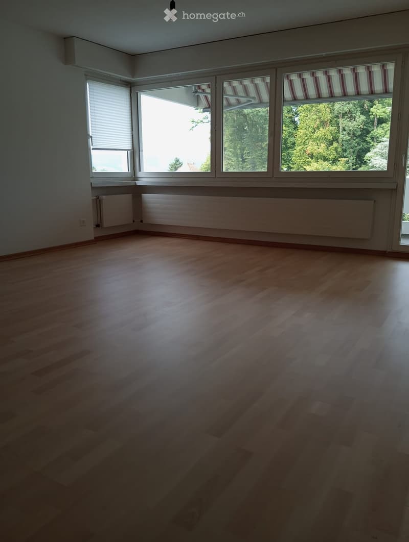 Empty room with wooden flooring, large windows with blinds, radiators, and natural light from the windows.