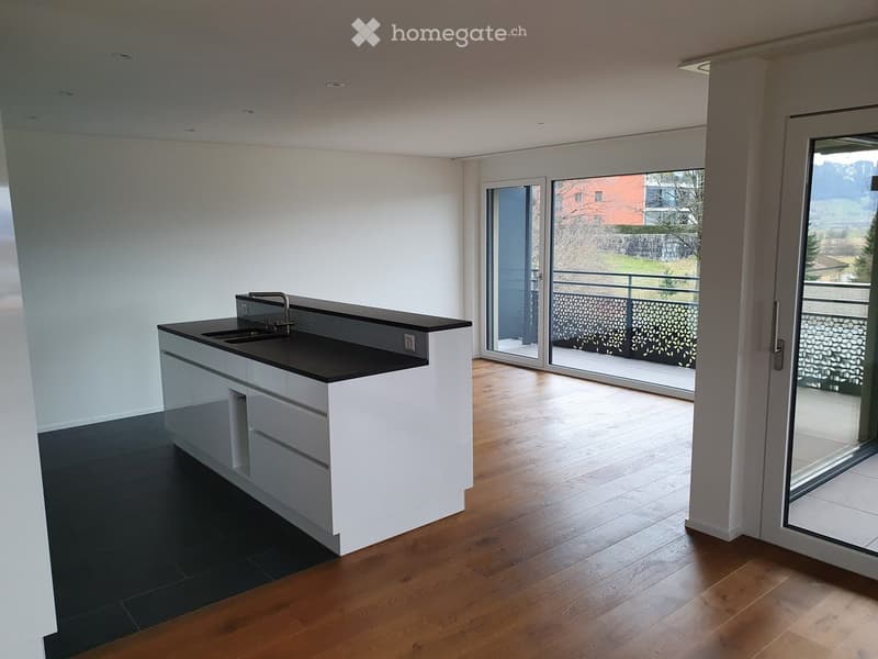 modern kitchen with white cabinets, black countertops, sink, faucet, sliding glass doors, balcony, wooden floor