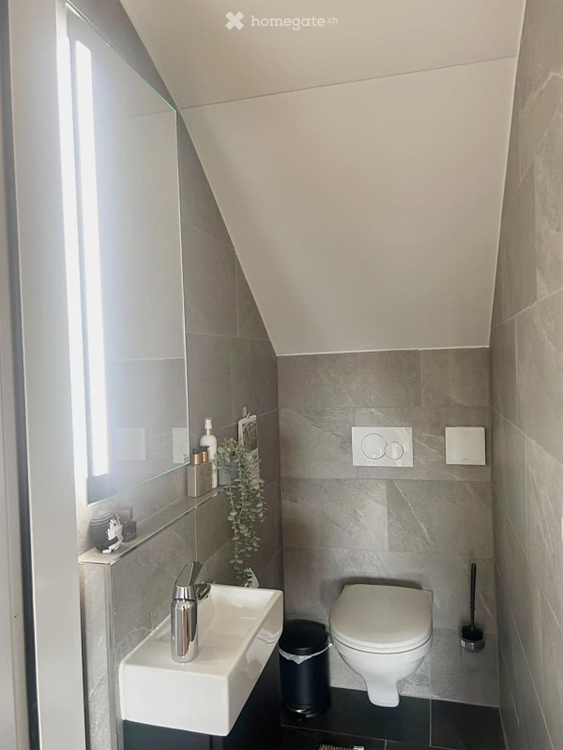 Modern bathroom with a white sink, chrome faucet, toilet, and a small trash bin. A large mirror is mounted on the wall, and decorative items including a small plant and bottles are placed on the sink counter.