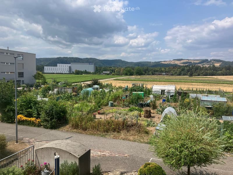 Garden area with various plants, greenhouses, and a view of fields and hills in the background.
