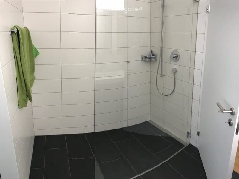 Exklusive Wohnung mit grosse Terrasse und Nähe Bahnhof (11)