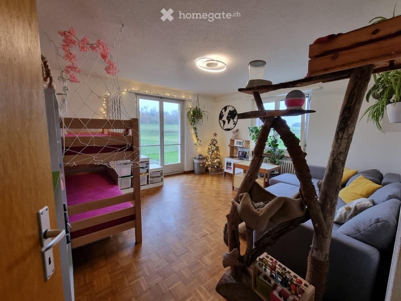 A cozy, well-lit room with wooden flooring, a bunk bed, a grey sofa, a cat tree, a small table with a microwave, and a potted plant near the window. A world map and a small Christmas tree add to the decor.