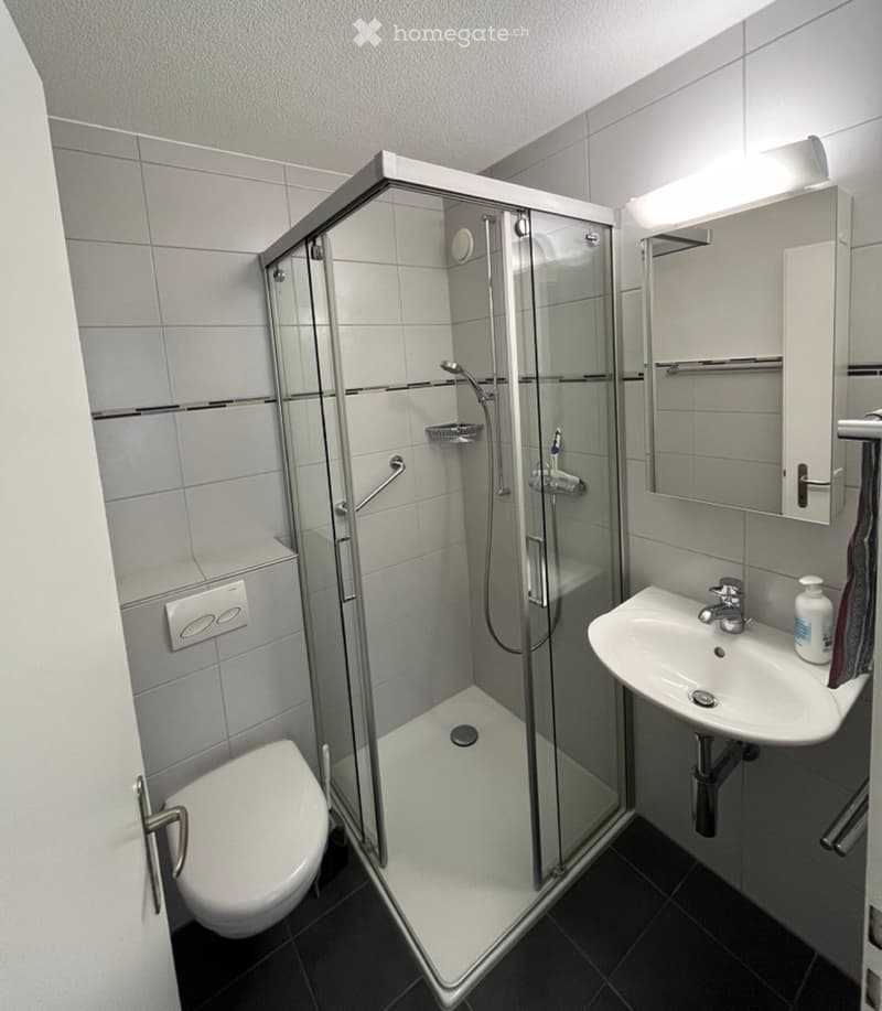 Modern bathroom with a glass-enclosed shower, toilet, sink, and mirror. Features grey tiles and a sleek design.
