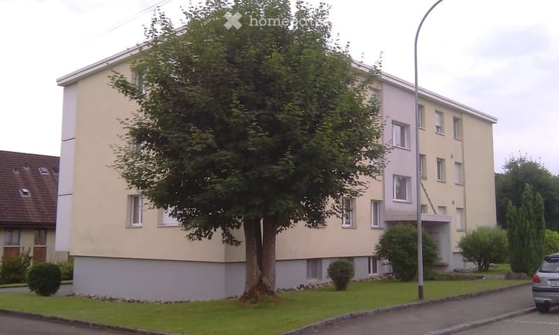 A modern multi-story residential building with light-colored walls and multiple windows, surrounded by greenery and a tree in the foreground.