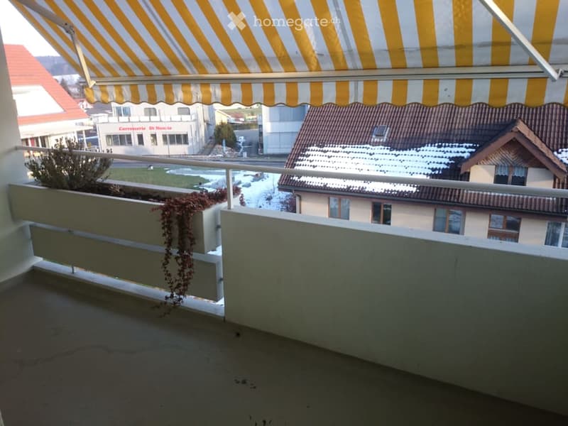 Balcony with a yellow and white striped awning, metal railing, and small potted plants.