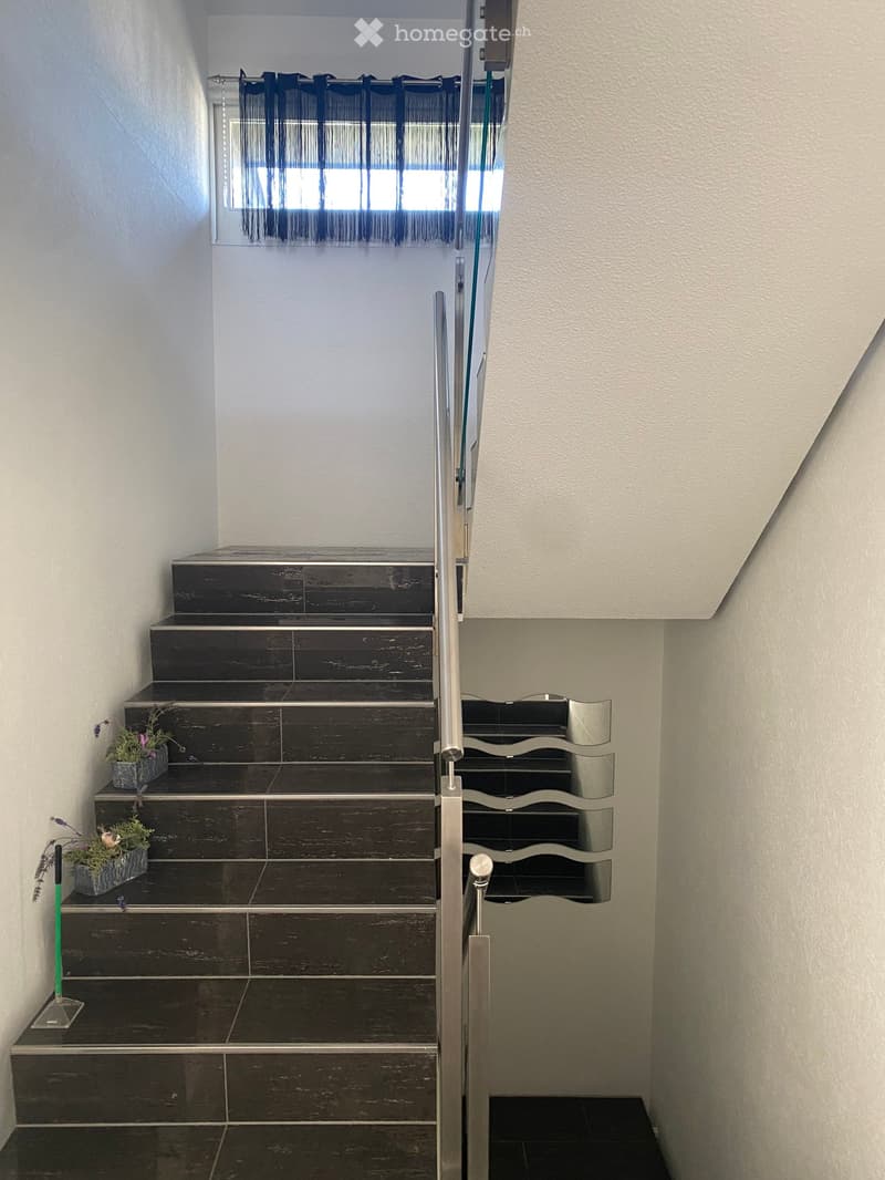 Modern staircase with dark wooden steps, metal railing, and small potted plants on the steps.