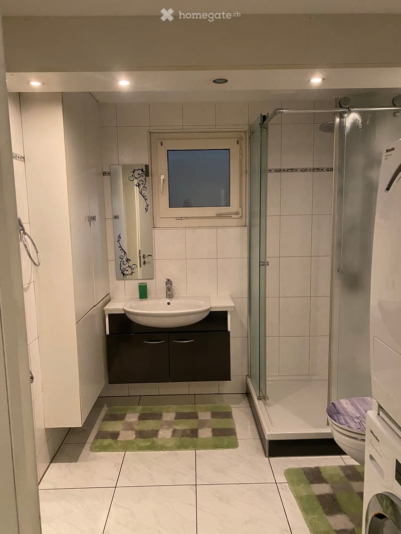 Modern bathroom with a white sink, dark cabinet, glass shower enclosure, and a toilet. Features a decorative mirror and a green and brown checkered rug.