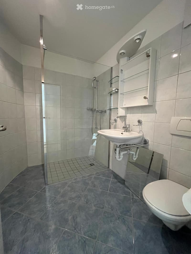 Modern bathroom with grey tiled floor, white toilet, sink, and glass-enclosed shower. Features a built-in cabinet above the sink.
