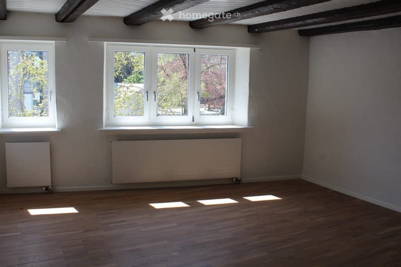 Innen-Sanierung im Jahr 2021 – Wohnung mit Lift (4)