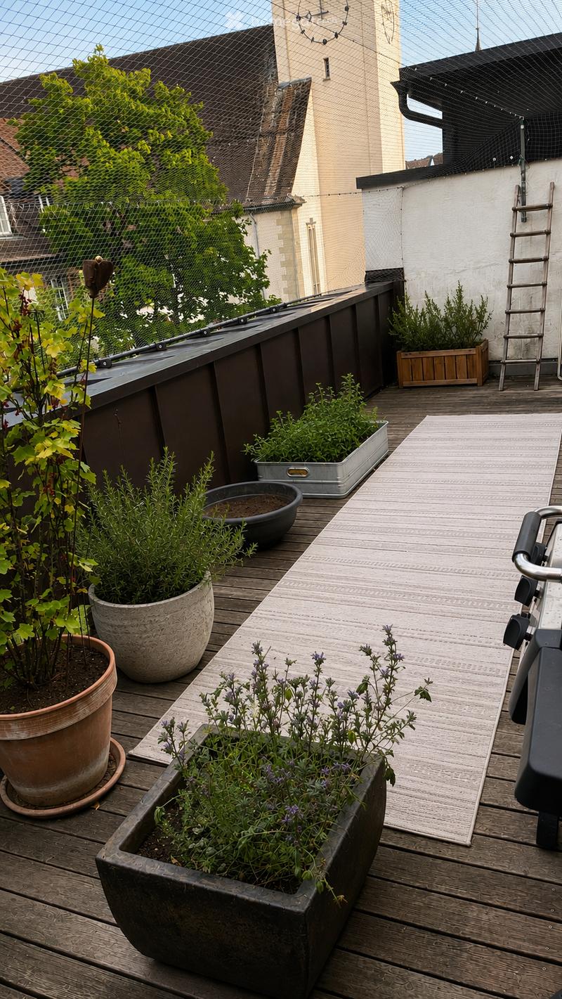 Wooden deck with multiple potted plants, including herbs and flowers, arranged in various containers. A small ladder is visible against the wall, and the area is enclosed by a metal fence with a view of neighboring buildings.