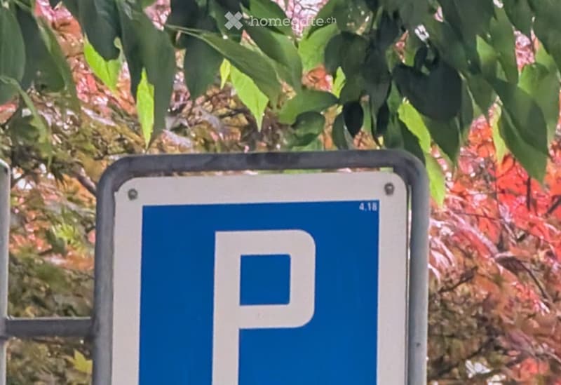 A parking sign with a blue 'P' symbol is visible in a garden area with green foliage and colorful flowers.