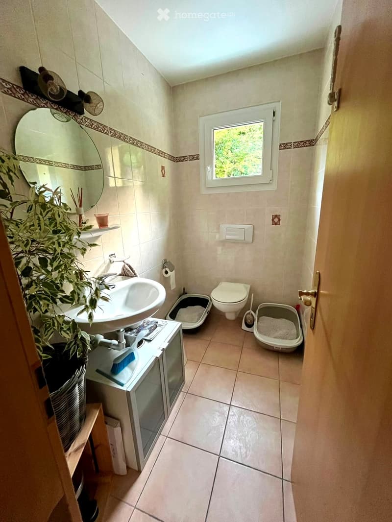 Bathroom with a sink, toilet, mirror, and two cat litter boxes. Features a window with a view of greenery, a small plant on the sink counter, and a decorative border on the wall tiles.