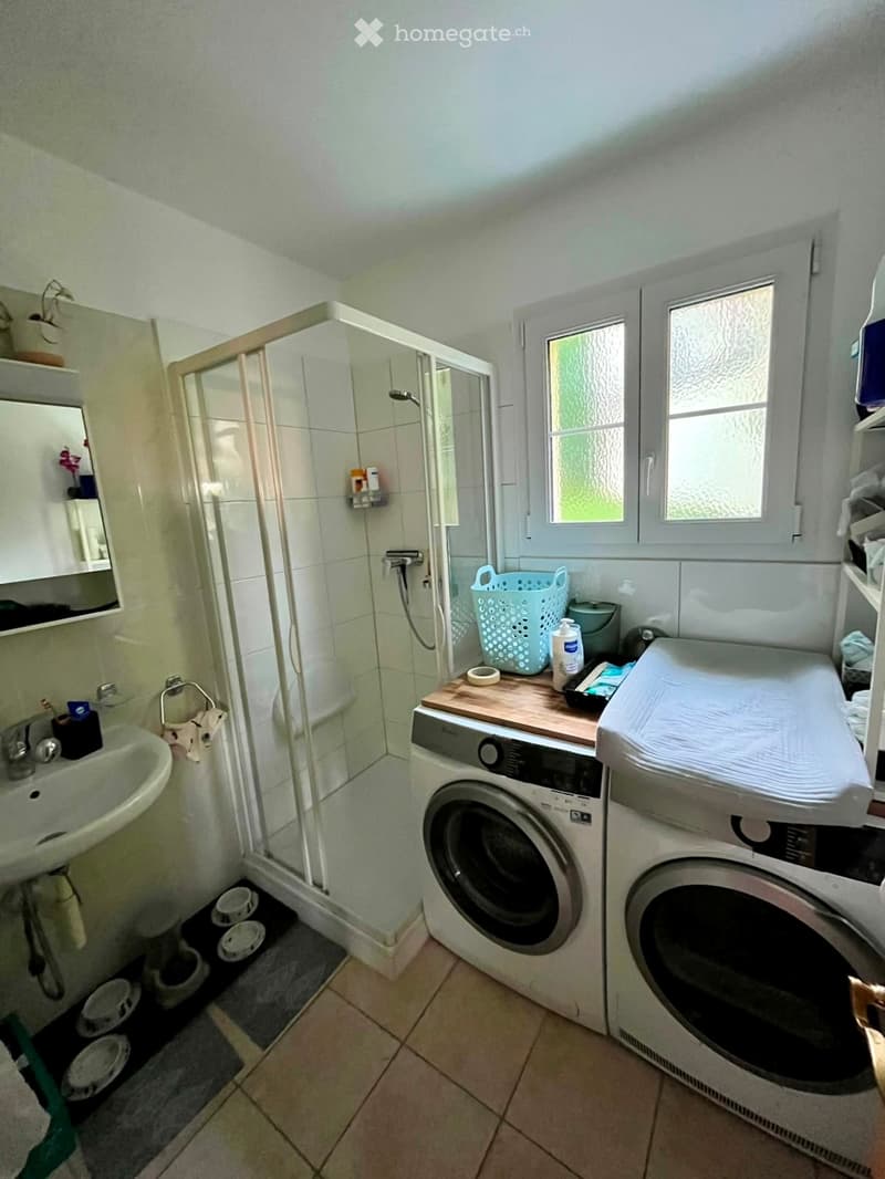 Bathroom with a shower, sink, mirror, washing machine, and dishwasher. Includes a laundry basket and pet bowls.