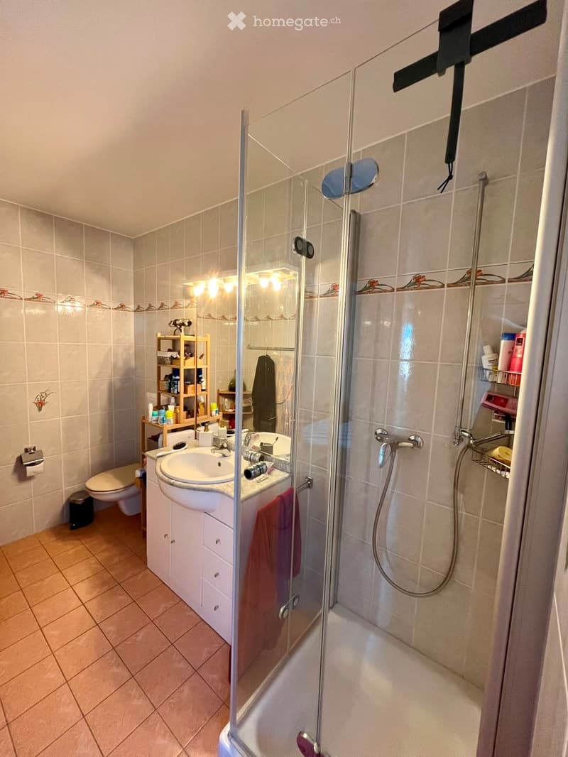 Bathroom with a sink, toilet, mirror, glass-enclosed shower, and a wooden shelf holding toiletries.