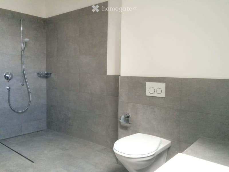 Modern bathroom with grey tiled walls and floor, white toilet, shower with handheld spray, and a small shelf for toiletries.