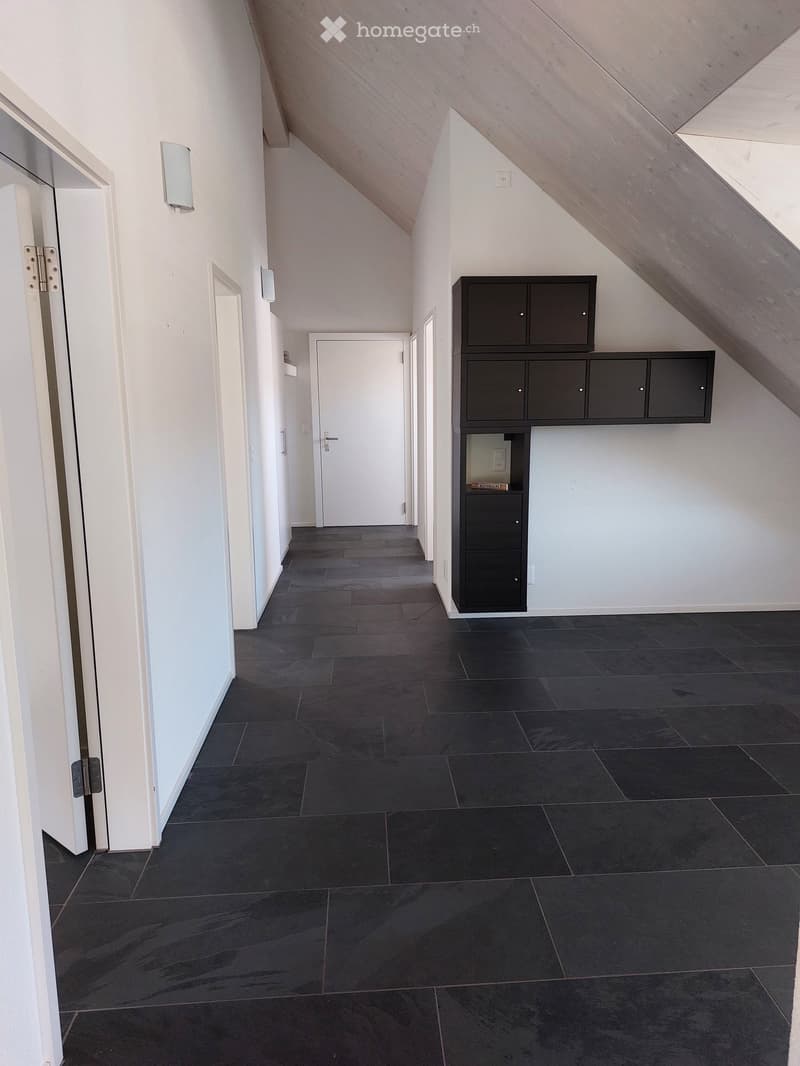 Modern hallway with dark tiled flooring, white walls, and built-in black storage units on one side. Features a white door at the end and a wall-mounted light fixture on the left.