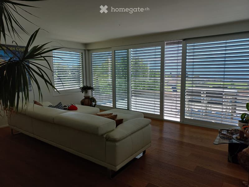 Modern living room with large windows, white sofa, coffee table, and plants.