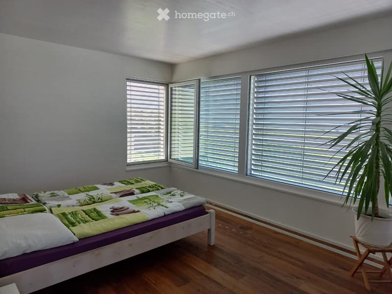 Bright bedroom with wooden flooring, large windows with blinds, a single bed with green and purple bedding, and a potted plant on a small wooden stand.