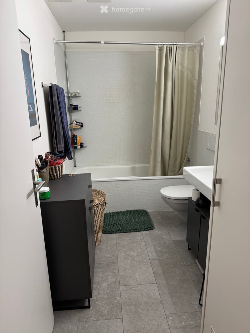 Modern bathroom with a bathtub, toilet, sink, dark cabinet, towel, basket, and rug.