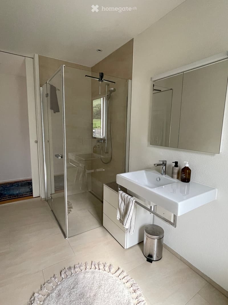 Modern bathroom with a white sink, mirror, and glass-enclosed shower. Includes a towel, soap dispenser, and a small trash can.