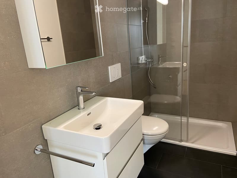 Modern bathroom with a white sink, chrome faucet, mirrored cabinet, toilet, and a glass-enclosed shower area.