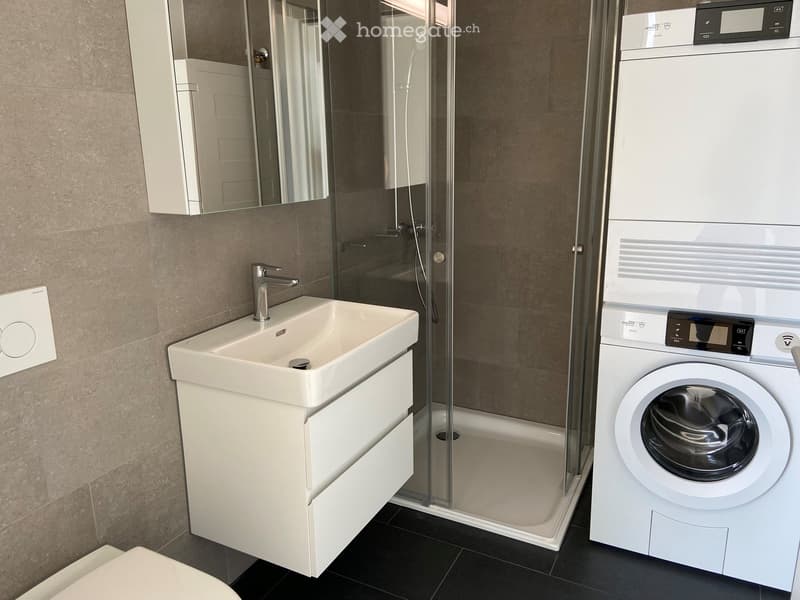 Modern bathroom with a white sink, faucet, mirrored cabinet, glass-enclosed shower, and a white washing machine.