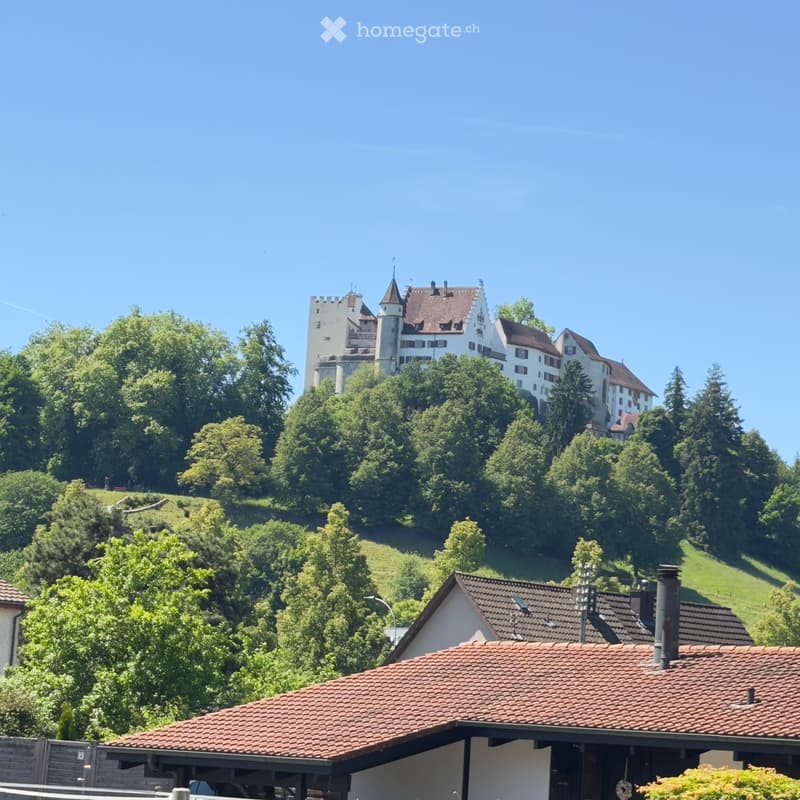 A picturesque view of a historic castle perched on a hill, surrounded by lush green trees and a clear blue sky. The foreground shows a modern house with a red-tiled roof and a chimney.