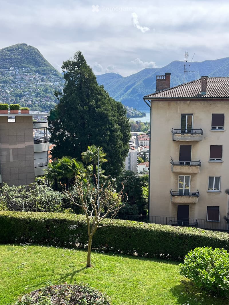 Garden with green lawn, small tree, shrubs, and hedges, overlooking a scenic lake and mountain backdrop with buildings and balconies visible.