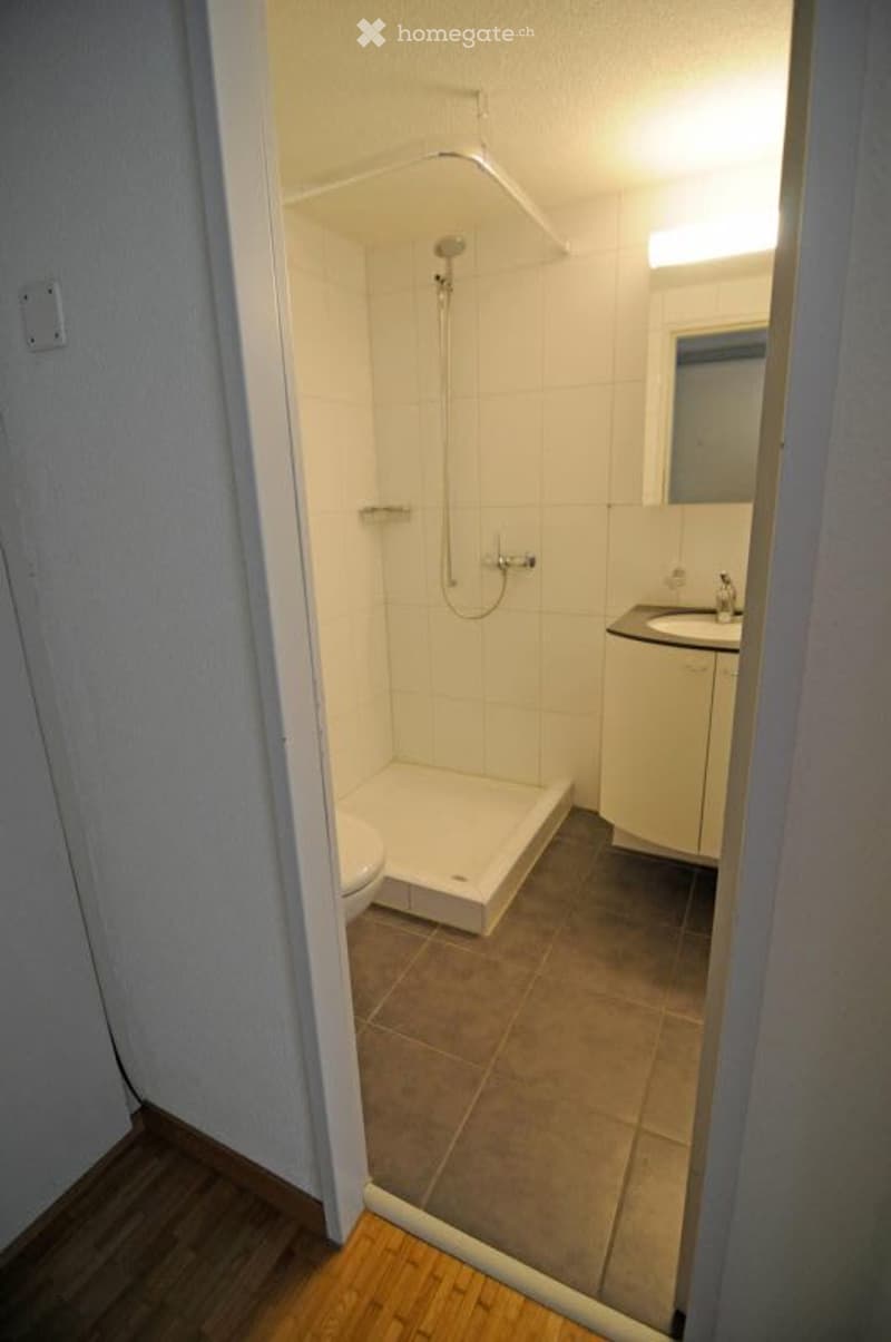 small bathroom with white tiled walls, walk-in shower, sink, toilet
