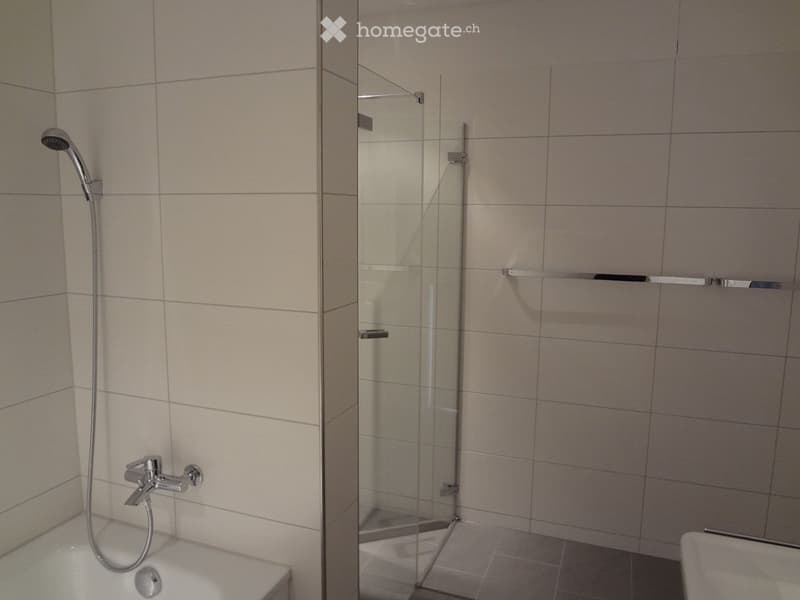 Modern bathroom with a bathtub, glass shower enclosure, and tiled walls.