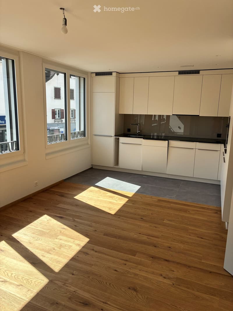 Empty kitchen with white cabinets, black countertop, and wooden flooring. Sunlight streams in through large windows, casting shadows on the floor.
